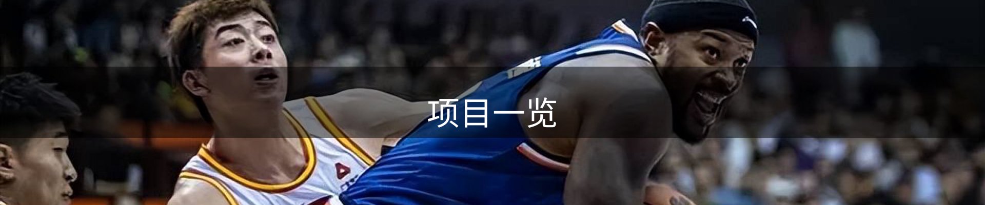 项目一览